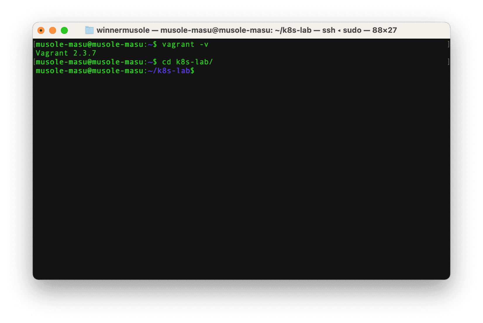 Vagrant