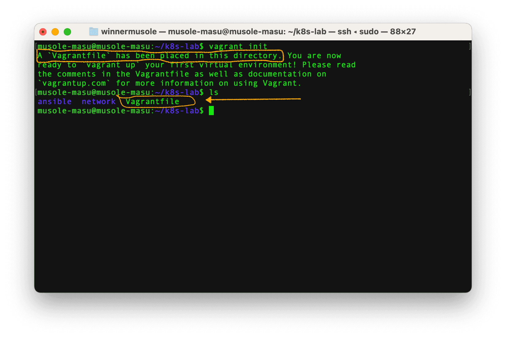 Vagrant