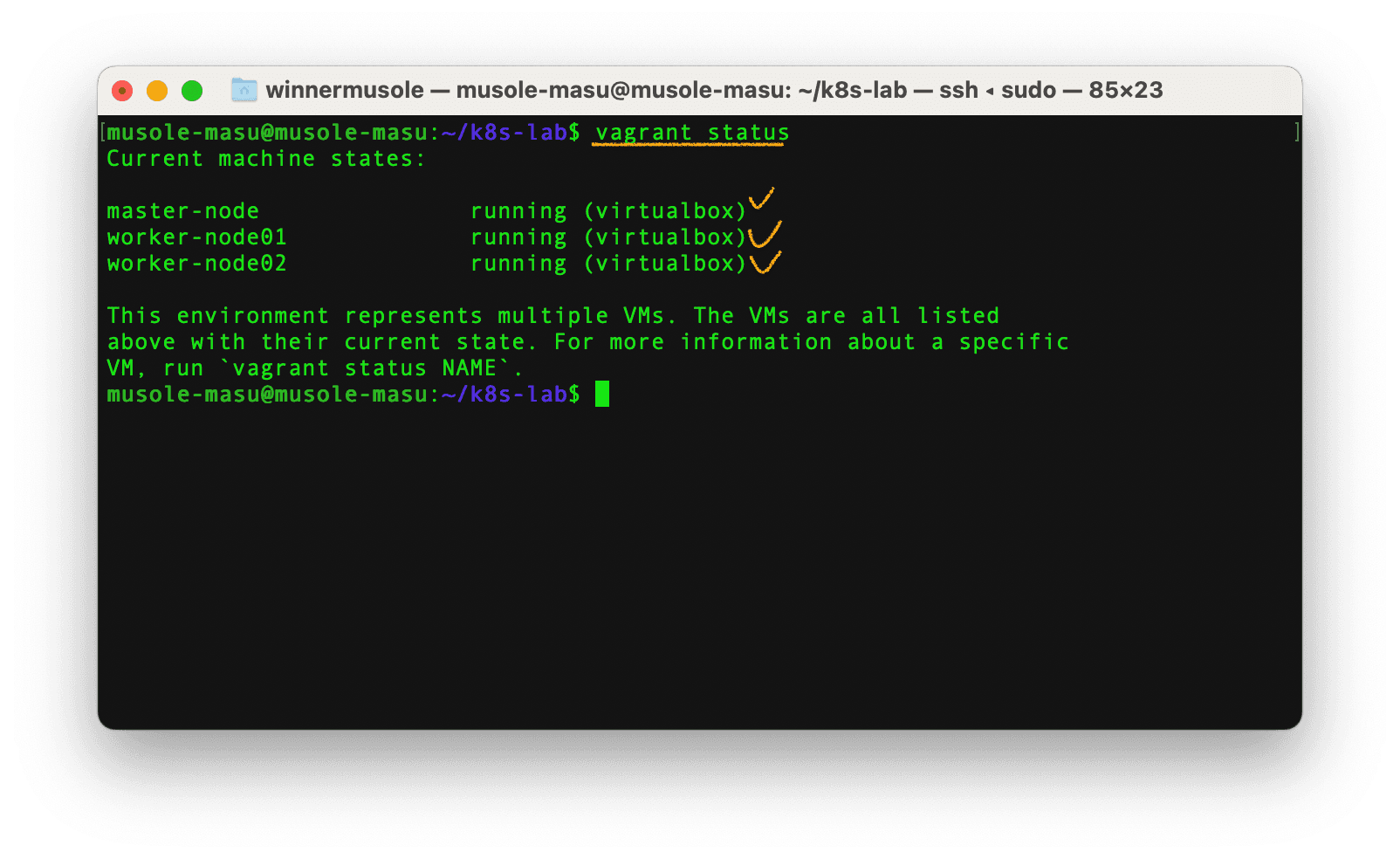 VM status